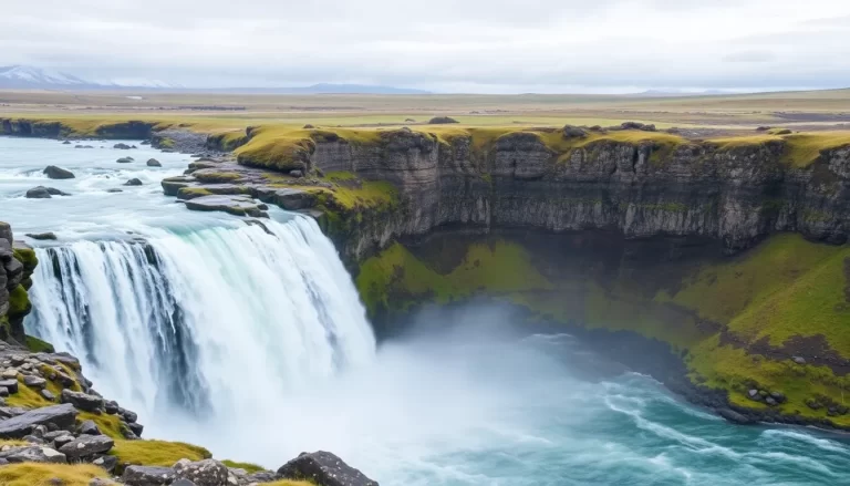 22 Affordable Activities to Enjoy in Reykjavik