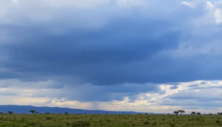 Exploring Madagascar: Insights on the Joy of Travel