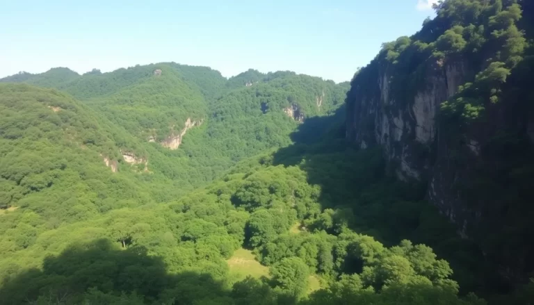 Guide to Visiting Khao Yai National Park