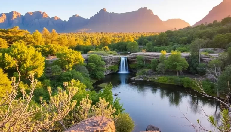 Top 12 Activities to Experience in South Africa