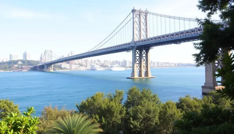 Top Walking Tours to Explore in Sydney